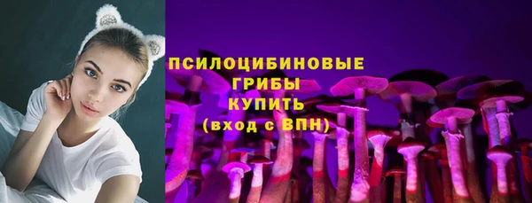спиды Богородицк