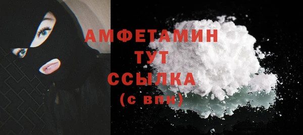 спиды Богородицк