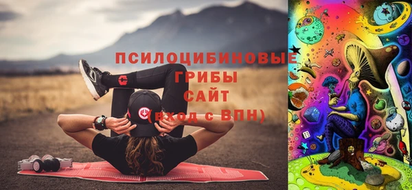 PSILOCYBIN Арсеньев