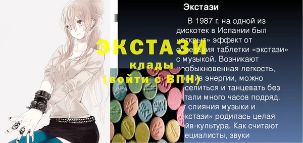 спиды Богородицк