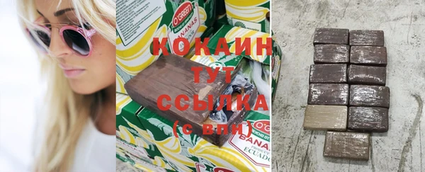 спиды Богородицк