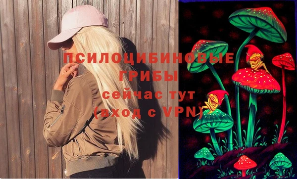 а пвп мука Аркадак